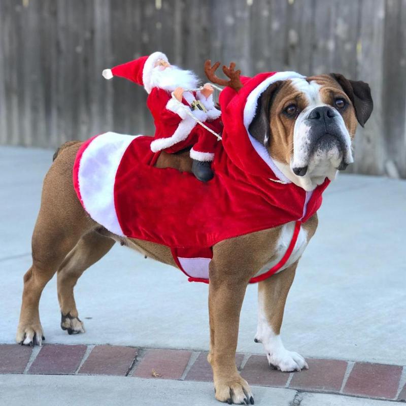 Fun Santa Riding Dog Costume