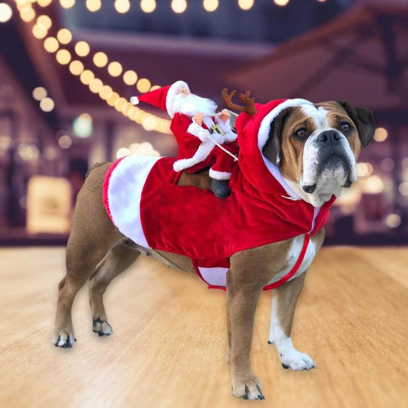 Fun Santa Riding Dog Costume