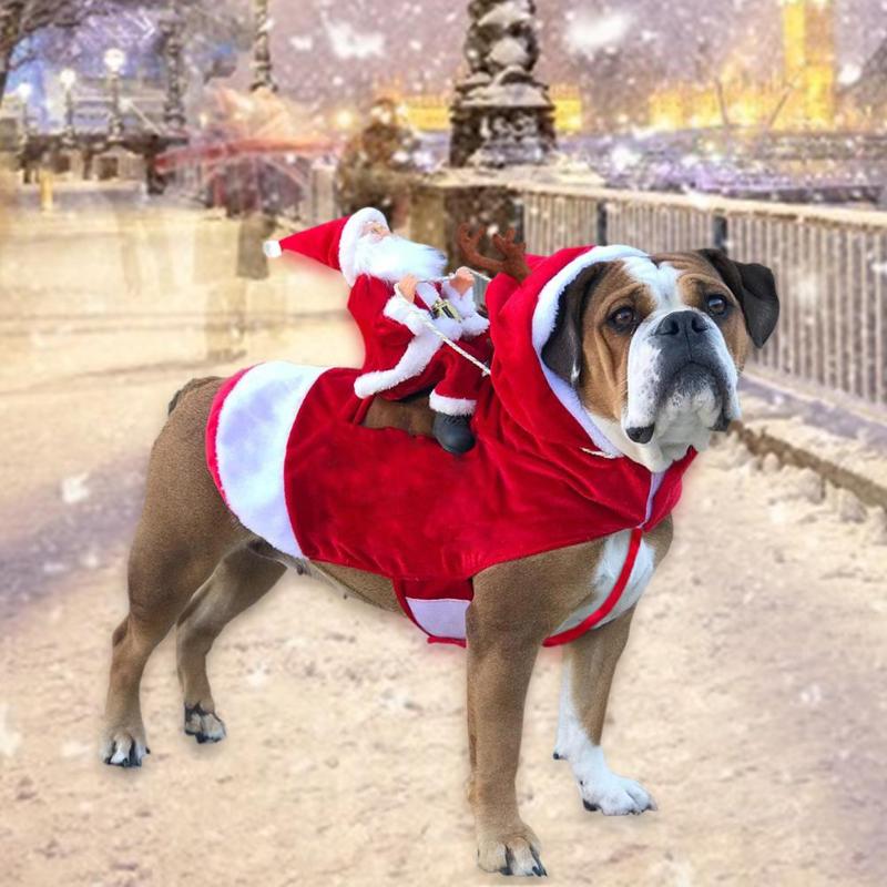 Fun Santa Riding Dog Costume